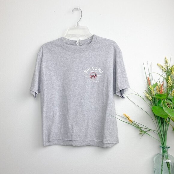 🦋 SOLVANG CA Gray Crop Top Graphic Tee Small Casual California - Picture 1 of 4